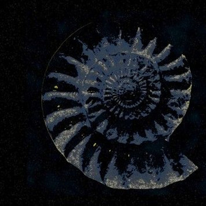 Ammonite