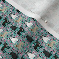 French Bulldog fawn coat (tiny scale) cherry blossom fabric turquoise