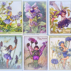 Flower Fairies