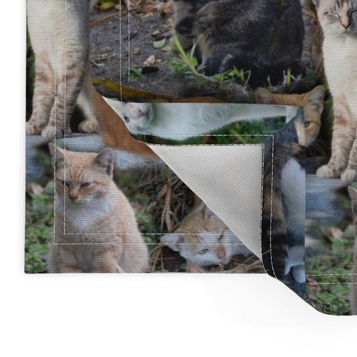 HOME_GOOD_PLACEMAT