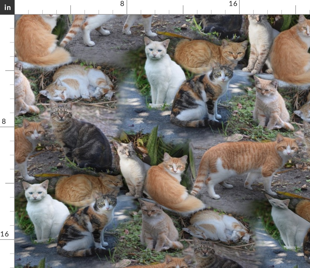 Mostly Marmalade Cats Montage, Large scale