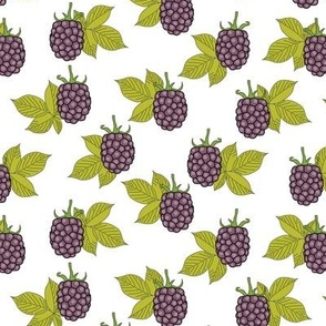 purple blackberries on white