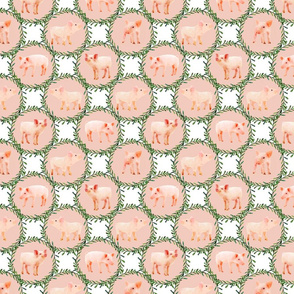 Little Piggies in Peachy Pink