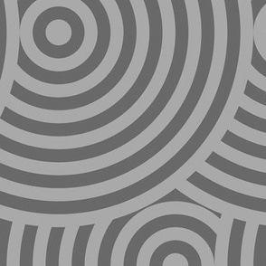 Concentric Circles in Gray