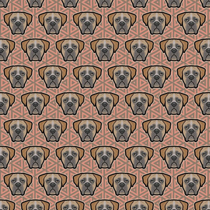 Boxer Dog Faces on Geo - Medium