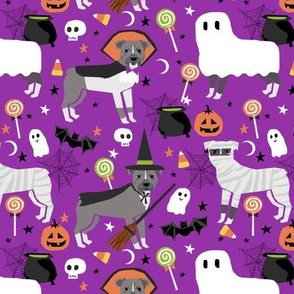 pitbull halloween dog breed costumes dog fabric