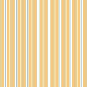 Neena Stripe citrus