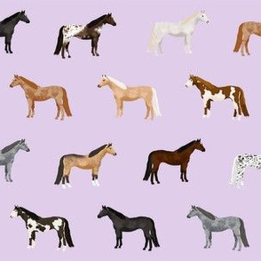horse coats horse breeds horses fabrics purple
