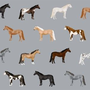horse coats horse breeds horses fabrics grey