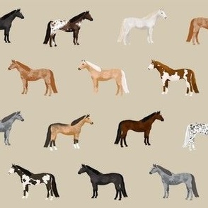 horse coats horse breeds horses fabrics tan
