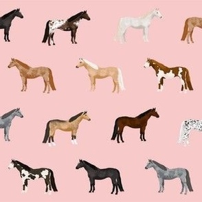horse coats horse breeds horses fabrics pink