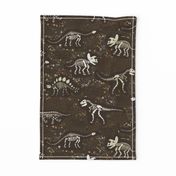 Dinosaur Fossils - Brown - Large