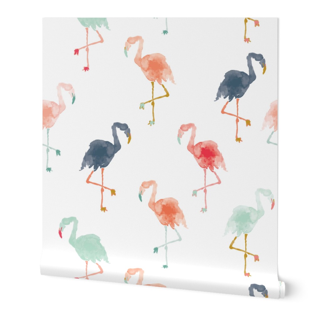 IBD Flamingos C