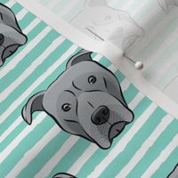 grey Pit bull on stripes (dark aqua)