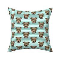 Pit bull on stripes (dark aqua)