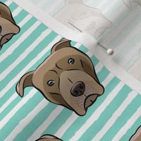 Pit bull on stripes (dark aqua)