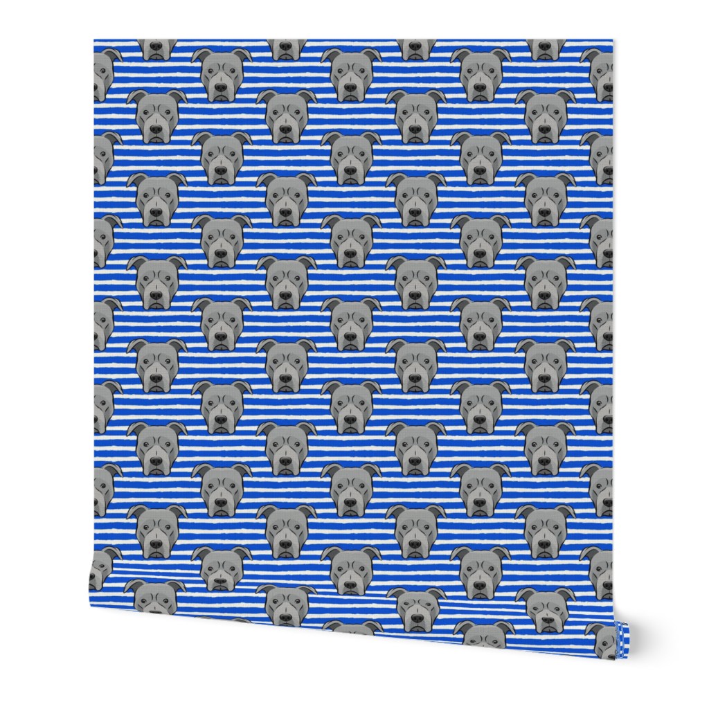 Grey Pit bull on stripes (blue)