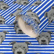 Grey Pit bull on stripes (blue)