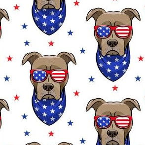 patriotic Pit Bull white with stars