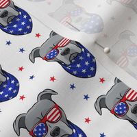 (small scale) patriotic Pit Bull white with stars (grey)