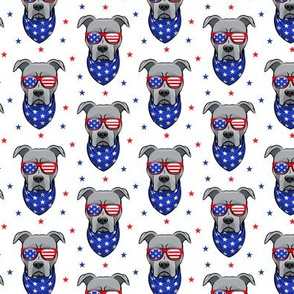 (small scale) patriotic Pit Bull white with stars (grey)