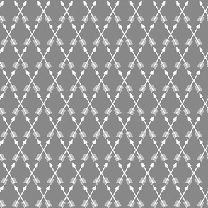 Crossed Arrows on Grey