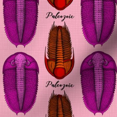 Paleozoic and Pink