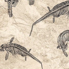 Fossils on tan , large scale