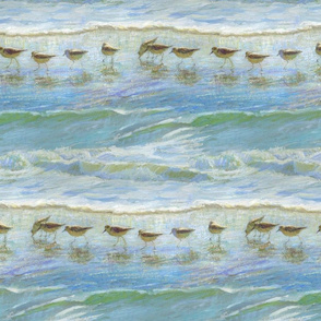 Sandpipers, A Day at the Beach