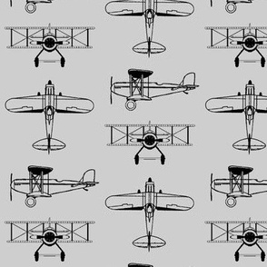 Biplanes on Silver // Small