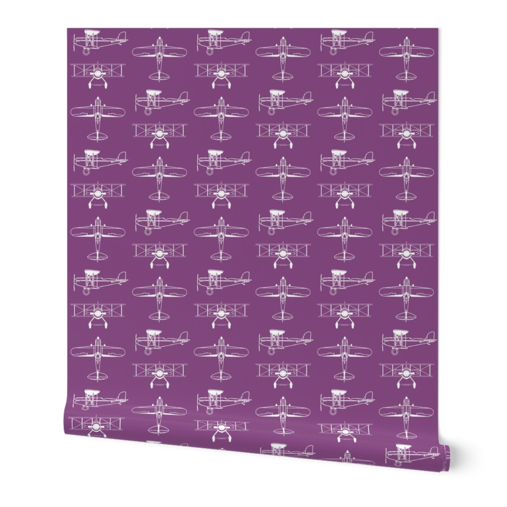Biplanes on Cannon Pink // Large