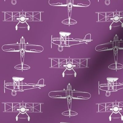 Biplanes on Cannon Pink // Small