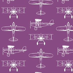 Biplanes on Cannon Pink // Small
