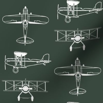 Biplanes on Timber Green // Large