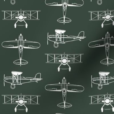 Biplanes on Timber Green // Small
