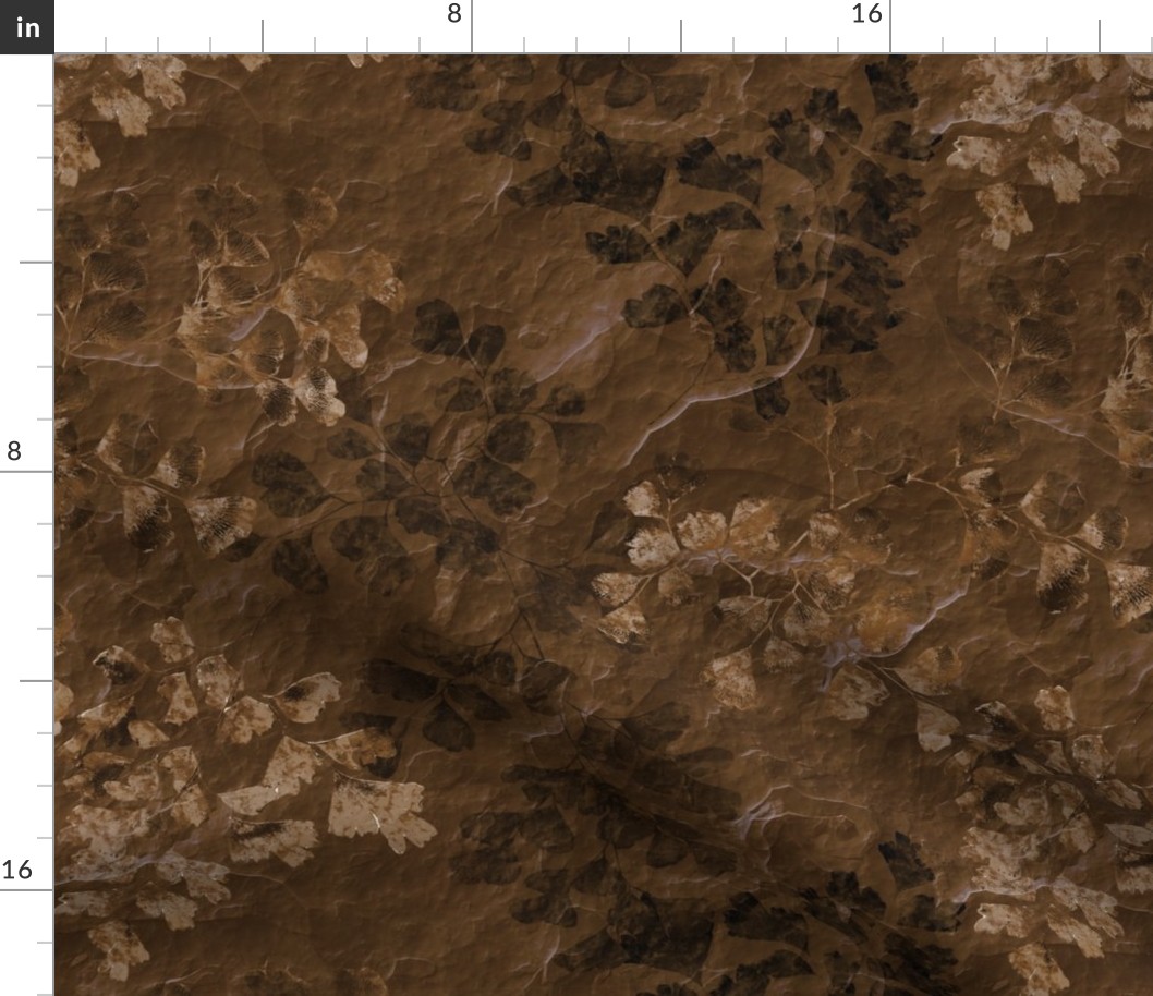 Fern Fossils on Brown Slate
