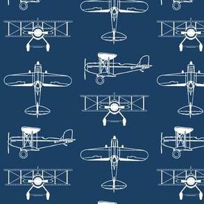 Biplanes on Navy // Small