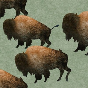 Bison Herd on Green