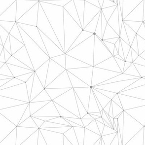 White polygonal geometric pattern