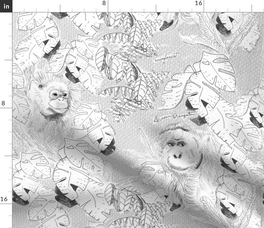 Orangutan and Rainforest-grey
