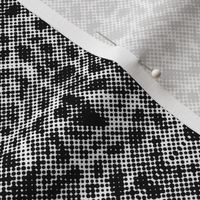 Black and White Halftone Dot Dots Pattern