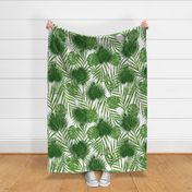 Tropical Palm Leaves - Jumbo