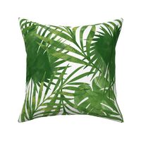 Tropical Palm Leaves - Jumbo