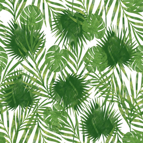 Tropical Palm Leaves - Jumbo