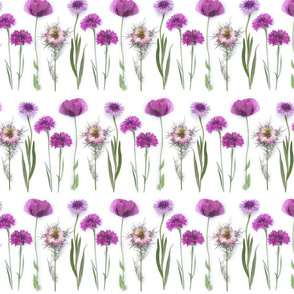 pink and purple flowers stripe