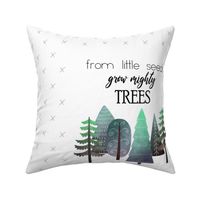 18X27" GRAY & BLUE From Little Seed Grow Mighty Trees - MINKY SIZE