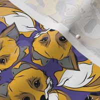 Foxes on violet background
