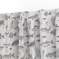 Fish Freshwater Gray Large