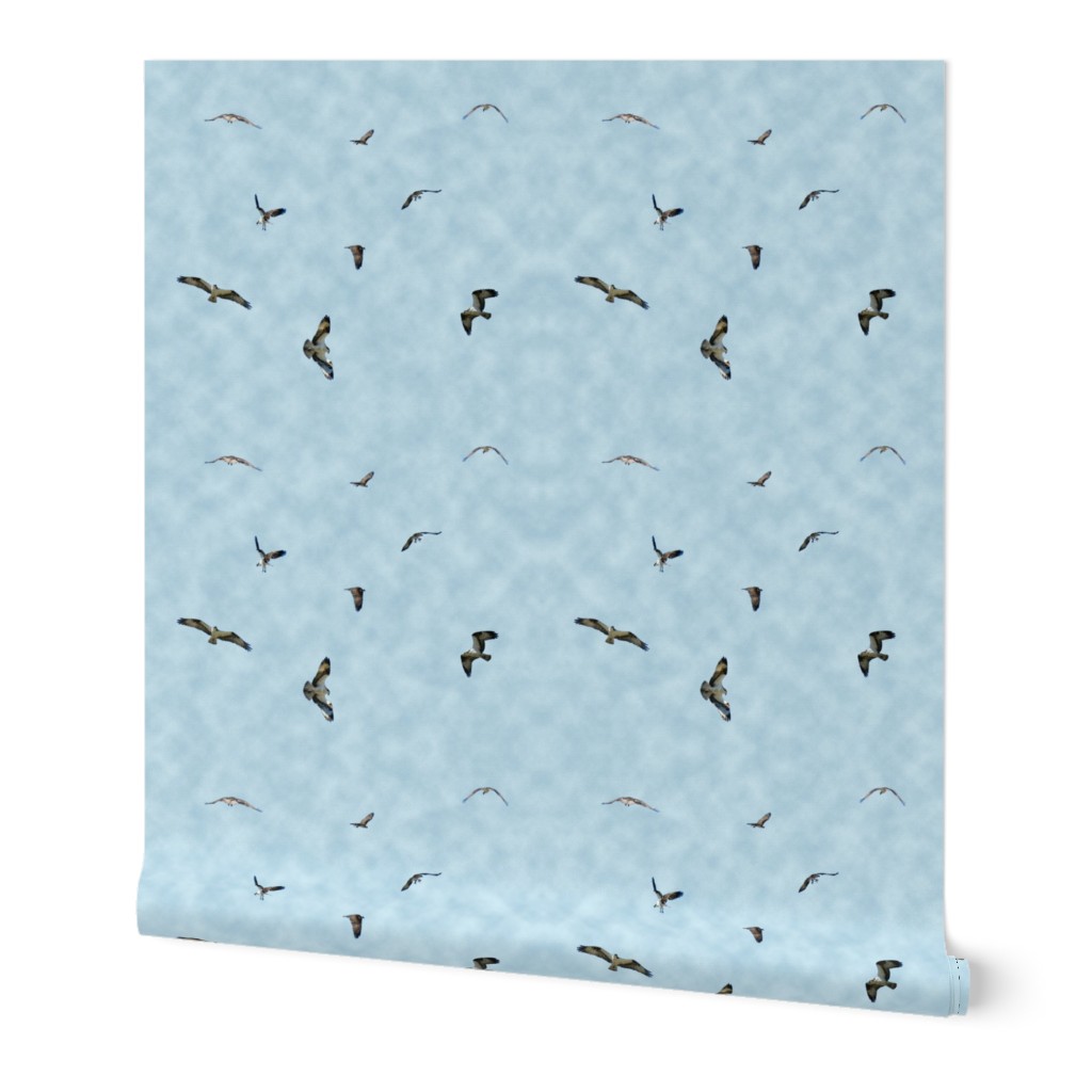 Osprey Fishing fabric with clouds