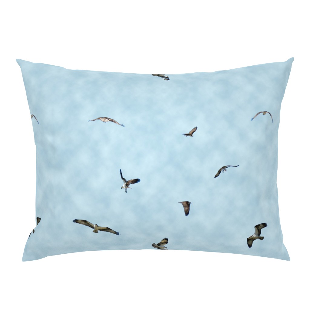 Osprey Fishing fabric with clouds